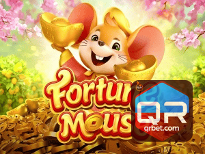 QRBET login — configurações de segurança e proteção de conta